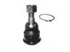 Ball Joint:40160-0M010