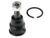 Joint de suspension Ball Joint:51220-S9A-982